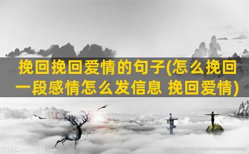 挽回挽回爱情的句子(怎么挽回一段感情怎么发信息 挽回爱情)